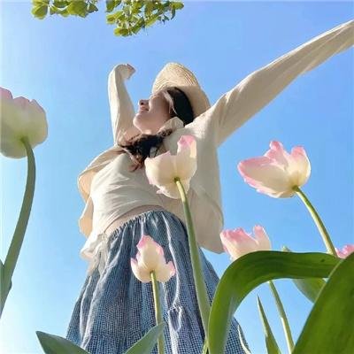 失踪的女人 海报