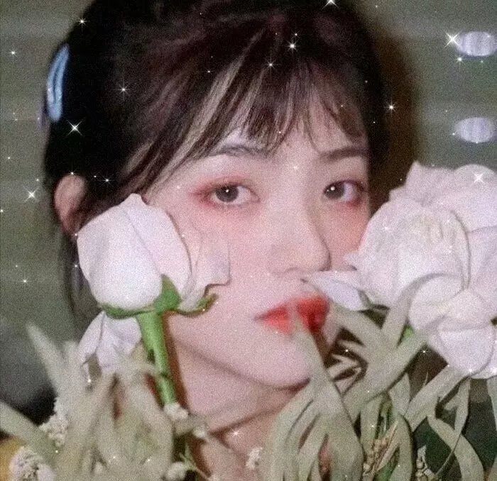 红旗歌 海报
